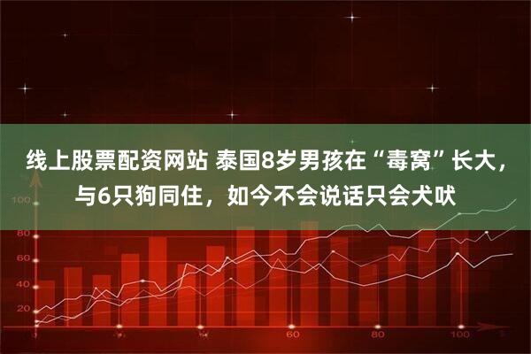 线上股票配资网站 泰国8岁男孩在“毒窝”长大，与6只狗同住，如今不会说话只会犬吠